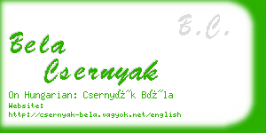 bela csernyak business card